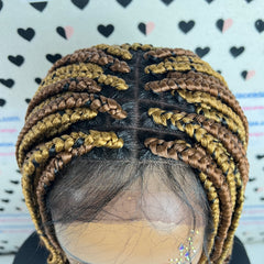 Multicolor Curly Box Braids Braided Lace Front Wig Color 27/30